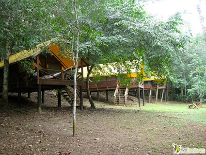Glamping in the Belize Rain Forest and Jungle | Cayo Scoop!  The Ecology of Cayo Culture | Scoop.it