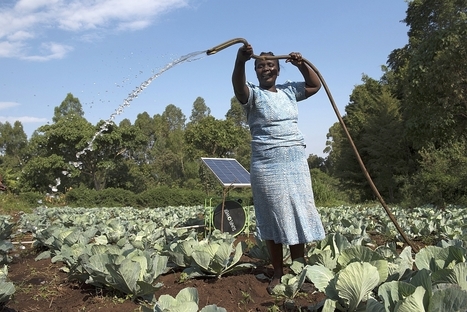 Water for Food Global Conference :: IWMI | OPT - Eau Pour Tous - Water for All | Scoop.it