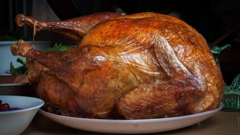 Your Spotify Thanksgiving Playlist, Based on Your Turkey's Cook Time | Communications Major | Scoop.it