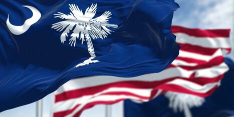 Far-right South Carolina lawmaker arrested amid child exploitation probe - Raw Story | Operation Phobos | Scoop.it