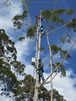 Range Networks Deploys Open Source Cellular System | DailyWireless.org | @The Convergence of ICT, the Environment, Climate Change, EV and HEV Transportation & Distributed Renewable Energy | Scoop.it
