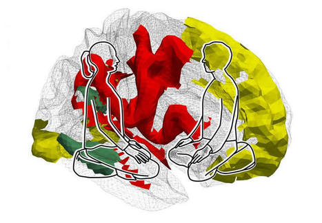 Mental Training Changes Brain Structure and Reduces Social Stress | mBraining | Scoop.it