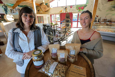 Landes. « Une année historique » : la cacahuète de Soustons monte encore en puissance | Landes - Conseils municipaux & communautaires | Scoop.it