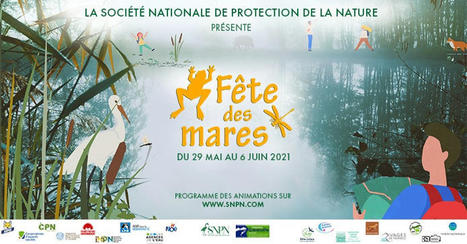 La fête des mares - mercredi 2 juin 2021 au château de Varaigne (24) | Variétés entomologiques | Scoop.it