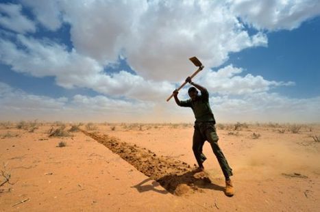 Kuvakertomus Dadaab | Kirkon Ulkomaanapu | 1Uutiset - Lukemisen tähden | Scoop.it