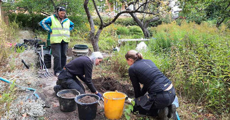Fikonfrön och finporslin – fynden från den arkeologiska undersökningen i Runebergs trädgård har publicerats | Östnyland | 1Uutiset - Lukemisen tähden | Scoop.it