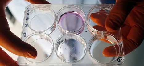 Maintenant que les Chinois peuvent modifier g&eacute;n&eacute;tiquement les humains, si on appuyait sur &laquo;pause&raquo; pour r&eacute;fl&eacute;chir un peu? | Science & Transhumanisme | Scoop.it