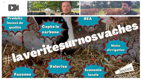 Deux jeunes &eacute;leveurs r&eacute;tablissent la v&eacute;rit&eacute; sur l'&eacute;levage | Actualit&eacute; B&eacute;tail | Scoop.it