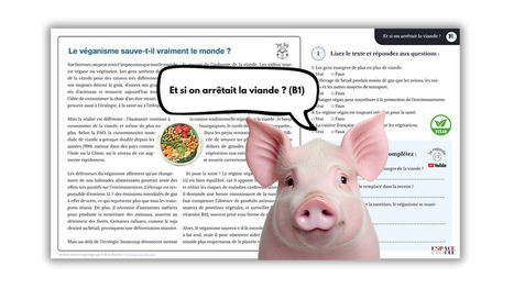 Et si on arrêtait la viande ? (B1) | POURQUOI PAS... EN FRANÇAIS ? | Scoop.it