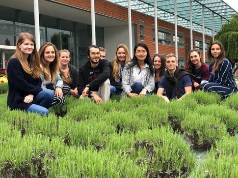 [INP-ENSAT] A Toulouse, des étudiants racontent dans un webdocumentaire leur rencontre avec des créateurs d'entreprises | InMédias | Scoop.it