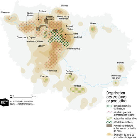 À la redécouverte des légumes franciliens et de leurs terroirs - Institut Paris Région | Paysage - Agriculture | Scoop.it