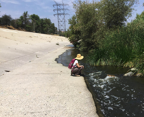 How to Restore an Urban River? Los Angeles Looks to Find Out | Coastal Restoration | Scoop.it