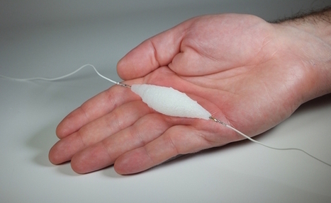 Une équipe de chercheurs invente un muscle synthétique superpuissant | IA, DATACENTER & TRANSITION DIGITALE | Scoop.it