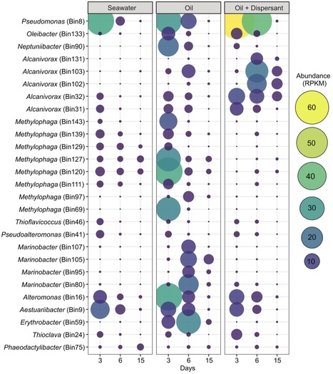 Bacteria-Oil Microaggregates Are an Important M...