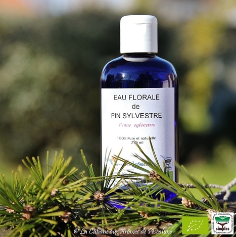 Hydrolat de pin sylvestre bio | La Cabane aux Arômes | Scoop.it