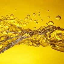 Acides gras satur&eacute;s : enfin r&eacute;habilit&eacute;s ? | ITERG - Veille sectorielle | Scoop.it