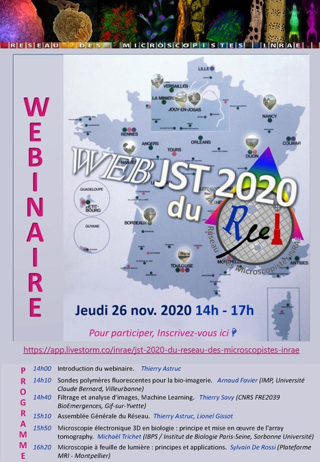 Webinaire WEB-JST 2020 du Réseau des Microscopistes INRAE - 26 novembre 2020 à partir de 14h | Life Sciences Université Paris-Saclay | Scoop.it