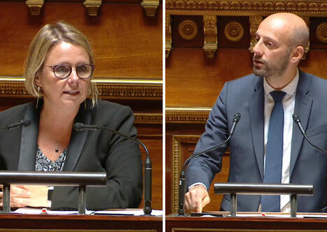 Cabinets de conseil et collectivités : le Sénat persiste et signe | Veille juridique du CDG13 | Scoop.it