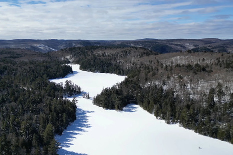 Quand les coupes foresti&egrave;res l&rsquo;emportent sur la protection de la nature | Ils parlent de nous ! | Scoop.it