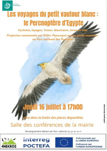 Conf&eacute;rence du Parc national des Pyr&eacute;n&eacute;es sur le Percnopt&egrave;re d'Egypte le 16 juillet &agrave; Saint-Lary Soulan | Vall&eacute;es d'Aure & Louron - Pyr&eacute;n&eacute;es | Scoop.it