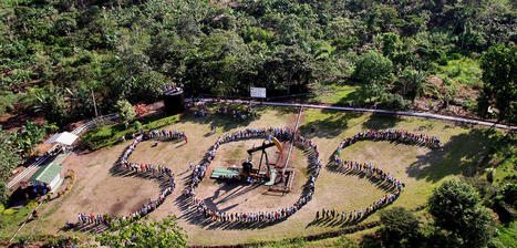 Le nouvel élan du long combat pour la création du crime d'écocide | Variétés entomologiques | Scoop.it