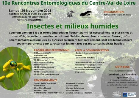 10es Rencontres Entomologiques du Centre-Val de Loire sur le thème "Insectes et milieux humides" | Variétés entomologiques | Scoop.it