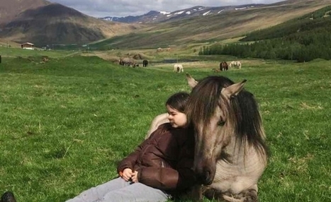 Horse Naming Commission was created to curb inappropriate or sexually suggestive names | Name News | Scoop.it