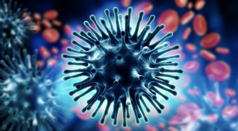 Why Everything You Learned About Viruses is WRONG | Health Supreme | Scoop.it