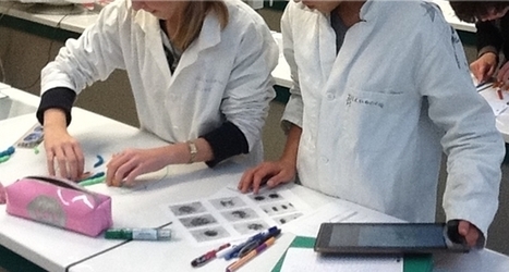 Tablettes tactiles et enseignement : prise en main avec des élèves | Université et numérique | Scoop.it