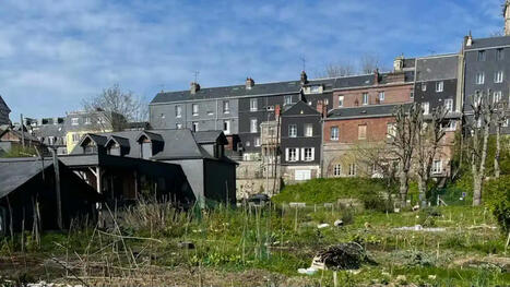 Comment redonner une nouvelle vie aux friches industrielles en ville ? | Paysage - Agriculture | Scoop.it