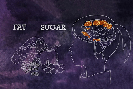 Here’s How Fast-Food Ads Hook Kids on Junk | Fitness, Health, and Wellness | Scoop.it
