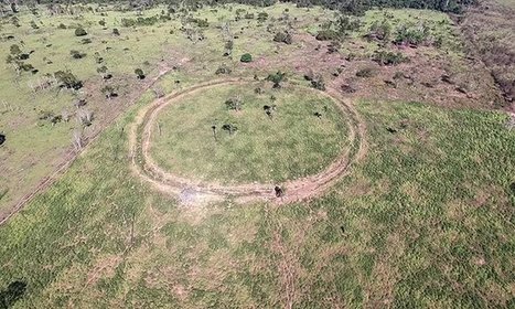 Discovery Of Fortified Villages And Earthworks Re-Writes Ancient History Of Amazon | Galapagos | Scoop.it