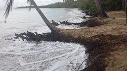 Wallis : l'inquiétante érosion du littoral et la grande marée - wallis et futuna 1ère | Biodiversité | Scoop.it