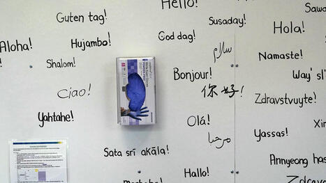 Meta expands AI translation to 200 languages but experts suggest talking to native speakers | Euronews | Metaglossia: The Translation World | Scoop.it