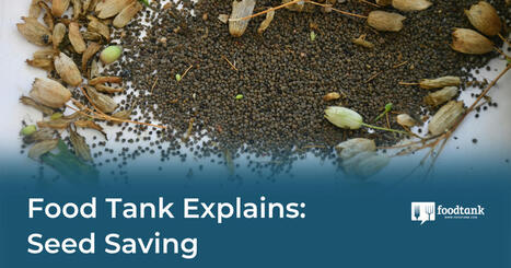 AGRICULTURE: Seed Saving | CIHEAM Press Review | Scoop.it