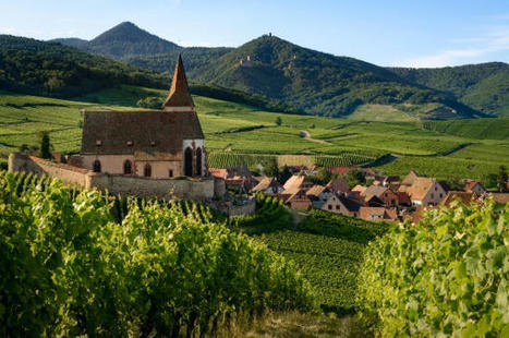 Une nouvelle &eacute;dition pour Villages d'avenir | D&eacute;veloppement local | Scoop.it