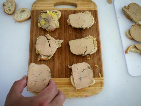 ALIMENTATION : Des scientifiques proposent un foie gras alternatif et "plus éthique" | ALIMENTATIONS | Scoop.it