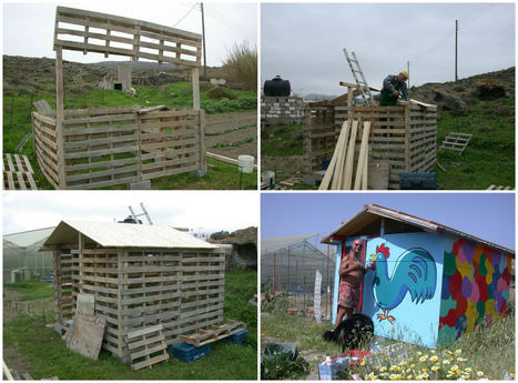 Le poulailler parfait / The Perfect Chicken Coop | 1001 Pallets ideas ! | Scoop.it