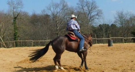 Du &laquo;barrel racing&raquo; pour la Foire du cheval | Salon du Cheval | Scoop.it