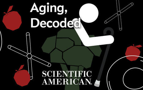 Can We Stop Aging? | LongevityBluePrintRx | Scoop.it
