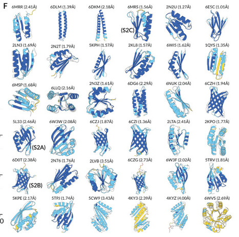 Reading TEA leaves for de novo protein design | brvai | RMH | Scoop.it