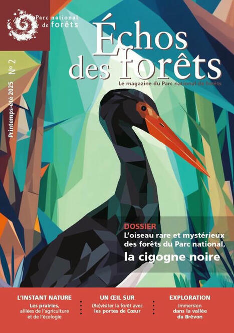 Le deuxième numéro des Échos des forêts vient de paraître ! Parc national de forêts | Biodiversité | Scoop.it