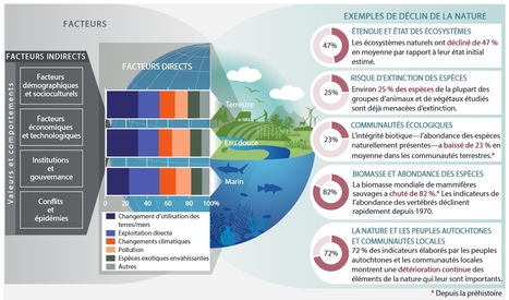 Biodiversité : qu’attendre de la COP15 et où va se décider la protection des espaces naturels pour les dix ans à venir ? | EntomoNews | Scoop.it