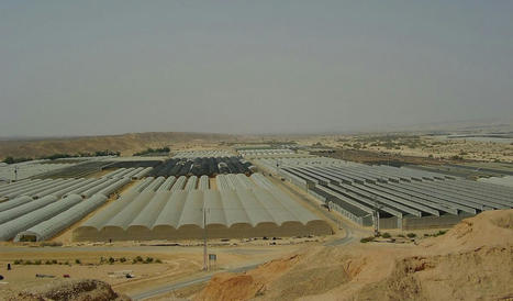 MIDDLE-EAST: As global FOOD crisis deepens, solutions grow in Mideast | MED-Amin network | Scoop.it