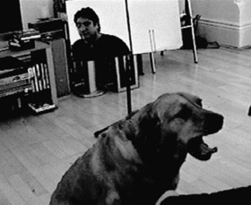 Can Dogs Catch Yawns From Humans? | Empathy Movement Magazine | Scoop.it