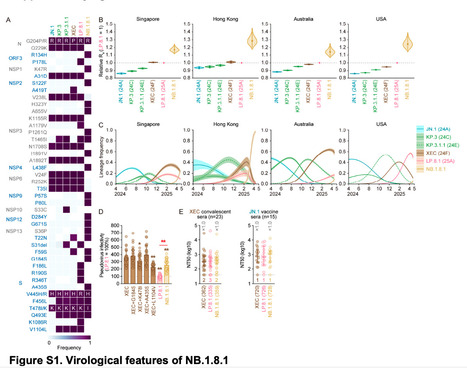 Virological Characteristics of the SARS-CoV-2 NB.1.8.1 Variant – The Lancet Infectious Diseases | Virus World | Scoop.it