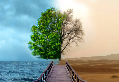 The Sustainable Development Goals: A Siren and Lullaby for Our Times | Peer2Politics | Scoop.it