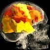First 3D Movie of Orgasm in the Female Brain | Science News | Scoop.it
