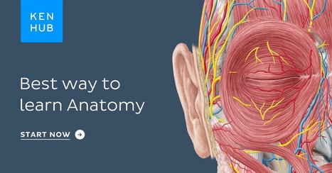 Neuroanatomy - Anatomy Quizzes, Tests, Games & Flashcards | Kenhub | Neuroanatomy and Central Nervous System | Scoop.it