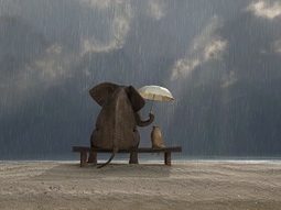 7 Qualities Of A Truly Loyal Employee | Connection | Scoop.it